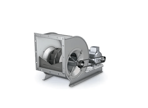 NICOTRA GEBHARDT RDH