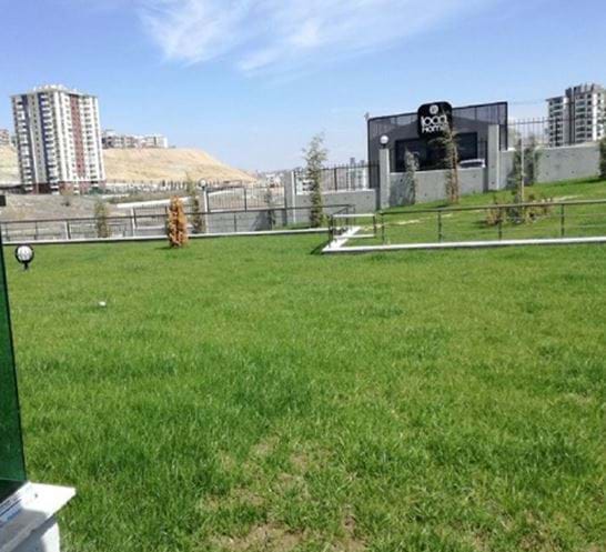 Yeşil Teras Uygulamaları