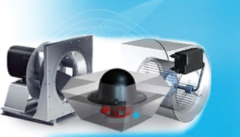 Nicotra Gebhart Fanlar